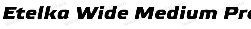 Etelka Wide Medium Pro Bold Italic字体转换
